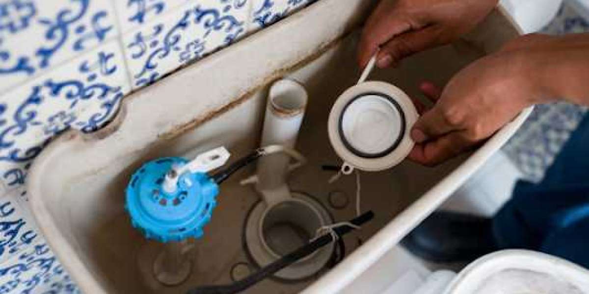 Toilet Repair Crest: A Comprehensive Guide to Fixing Plumbing Woes
