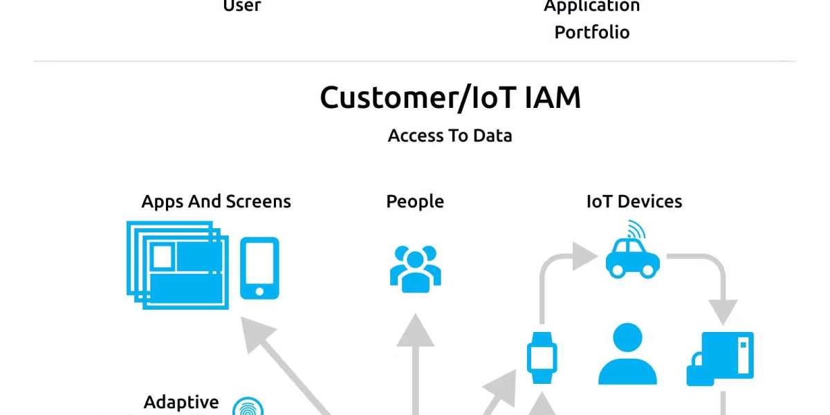 IOT- Identity Access Management Market Segmentation, Demand, Growth, Trend, Opportunity and Forecast to 2030