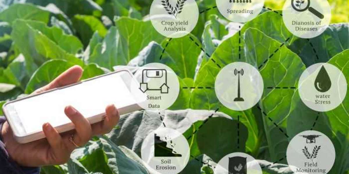 Agritech Platform Market size is expected to grow USD 85,827.31 million by 2033