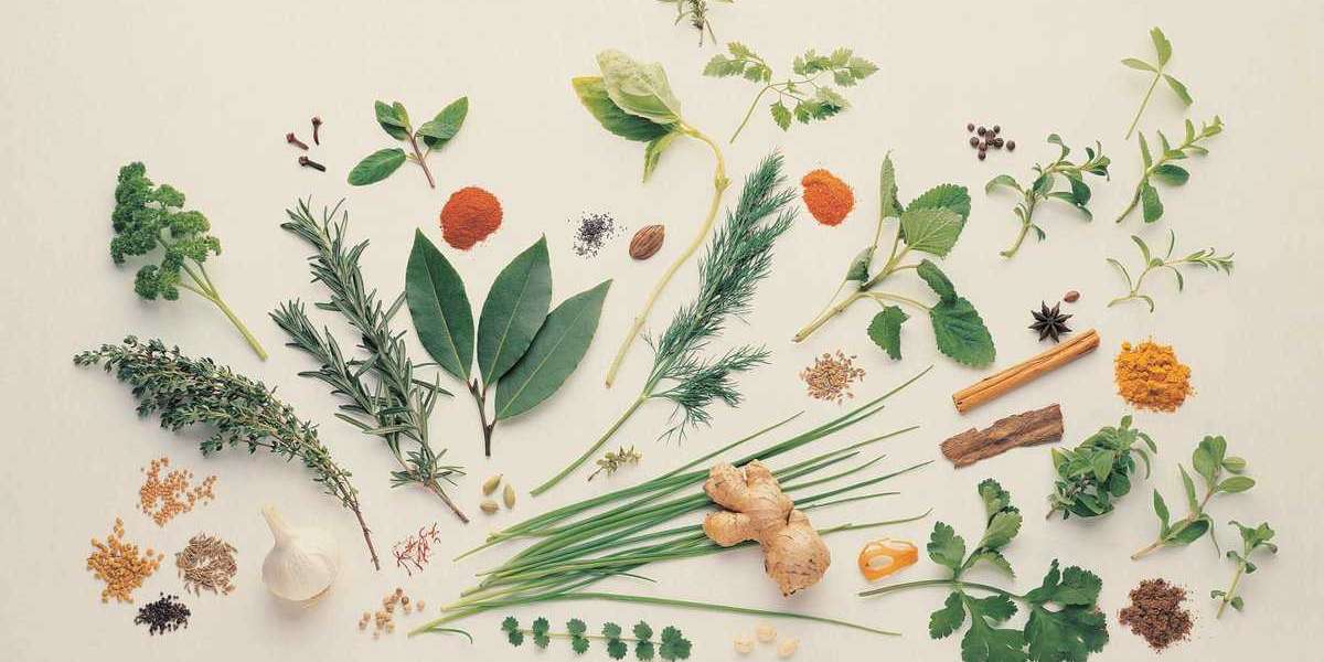 Beyond Pharmaceuticals: Why Consumers Are Turning to Medicinal Plant Extracts for Optimal Health