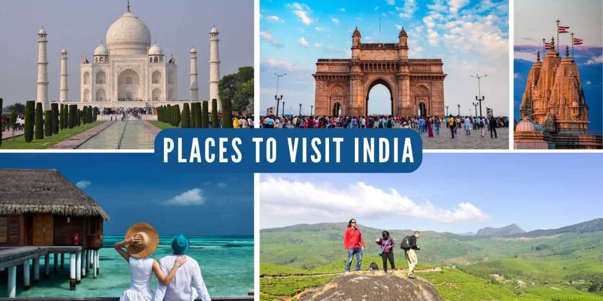 Best Travel Agency in India: Citybit.in