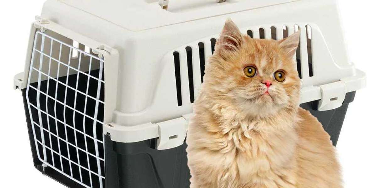 How to Determine the Perfect Carrier Size for Your Cat