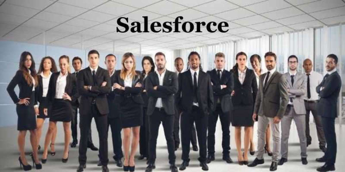 Customizing Salesforce Apex and Visualforce