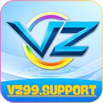VZ99 Support