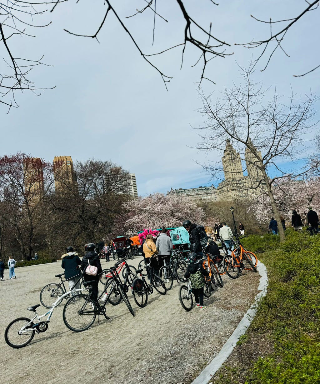 Unlocking VIP Central Park Bike Rentals for Every Explorer | by VIP Central Park Tours | Jun, 2024 | Medium