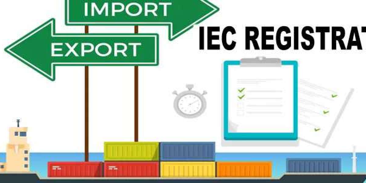 IEC Code Registration, Section 8 Company Registration, and Income Tax Return Filing for Companies