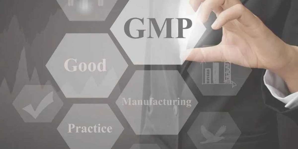 Elevating Quality Assurance: Exploring Good Manufacturing Practices (GMP) Principles