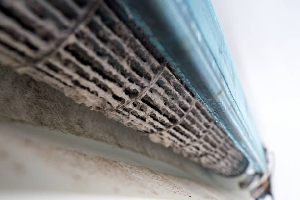 How to Detect Mold in Your Air Conditioner and Keep Your Home Healthy | by Dalton Air Conditioning & Heating | Jun, 2024 | Medium