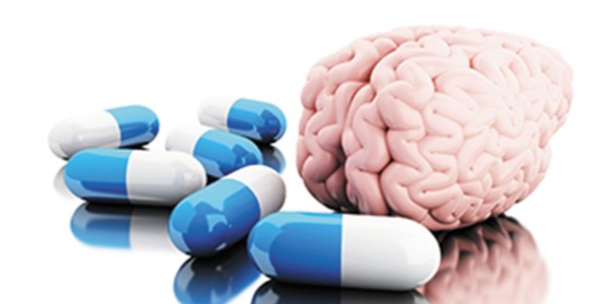 Sharper Mind, Brighter Future: Exploring the Potential of Brain Support Supplements