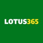 Lotus365apk